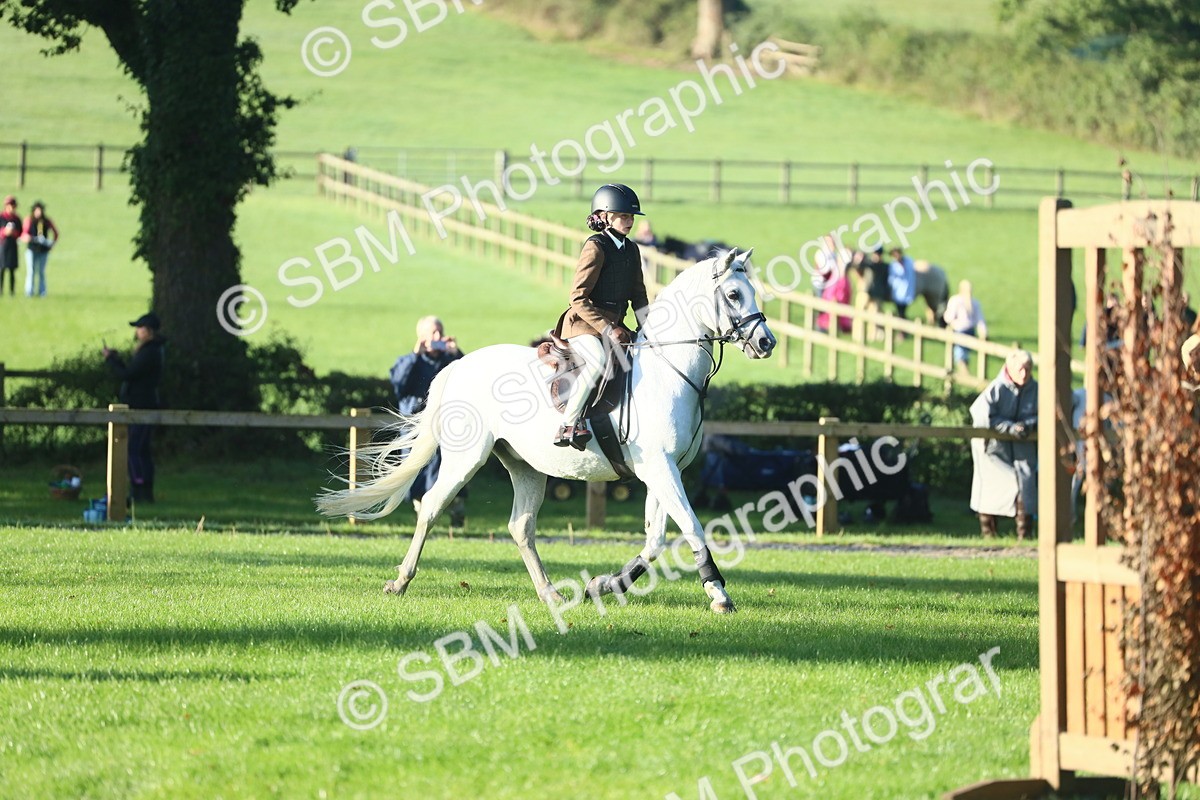 SBM_31960 - S28 - Nursery Stakes Working Hunter Pony