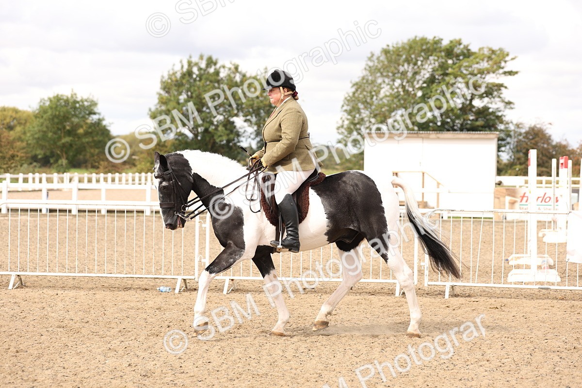 SBM_04282 - Class 54 - Riding Club Horse/Pony