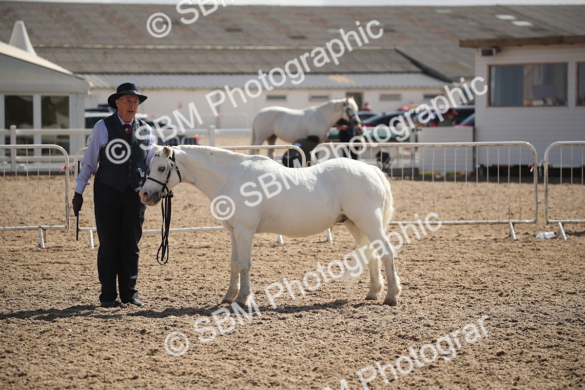 SBM_23544 - Class 605 - 2026 - Area - IH Veteran