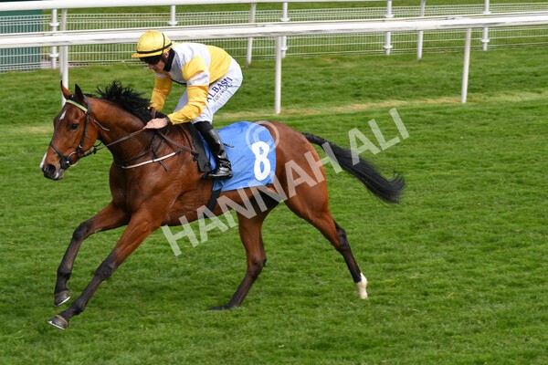 yr12052021r5-15 - Race 5 3.40pm Sky Bet Stakes