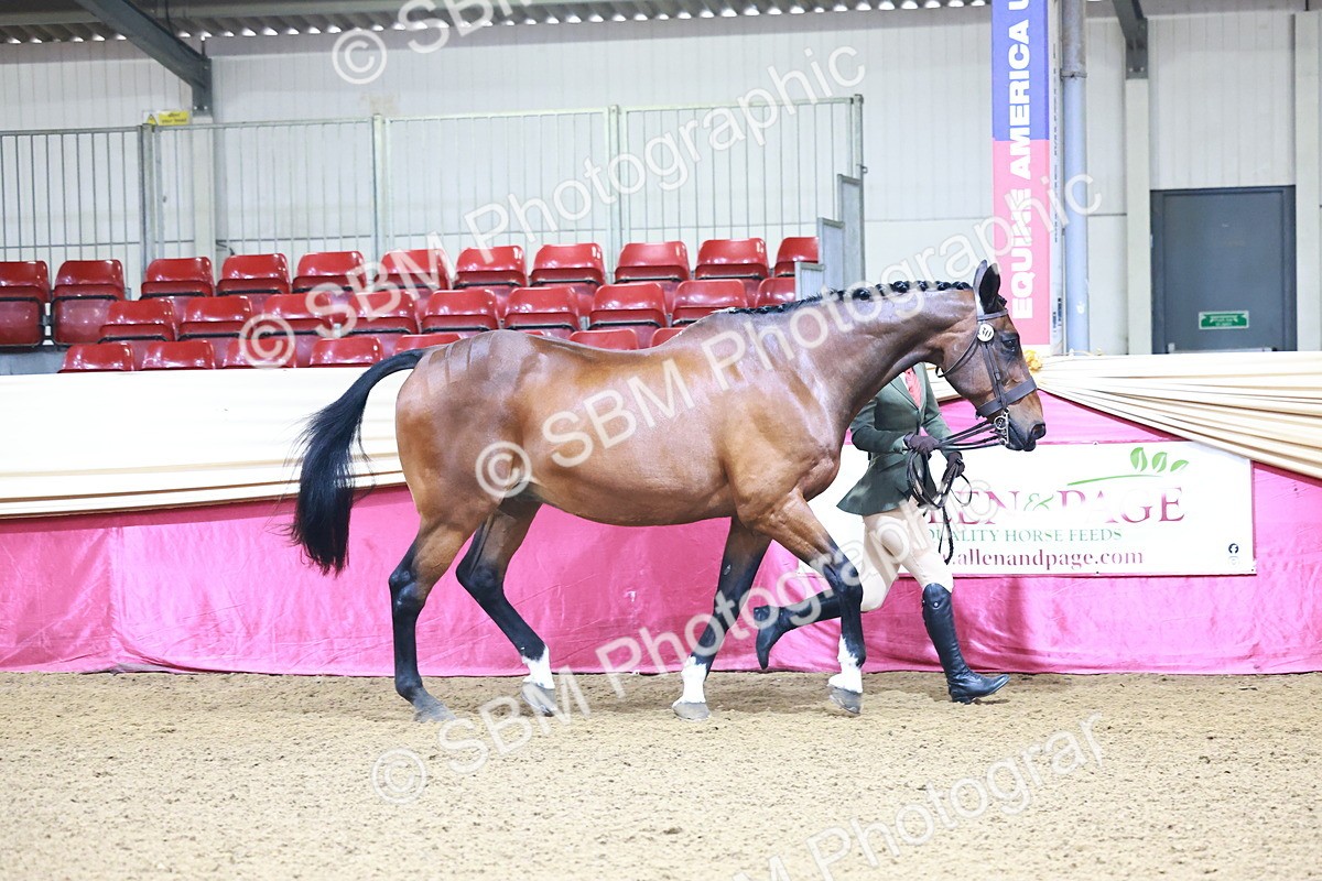 SBM_21646 - Class 901 - Supreme Final - IH  Diamond