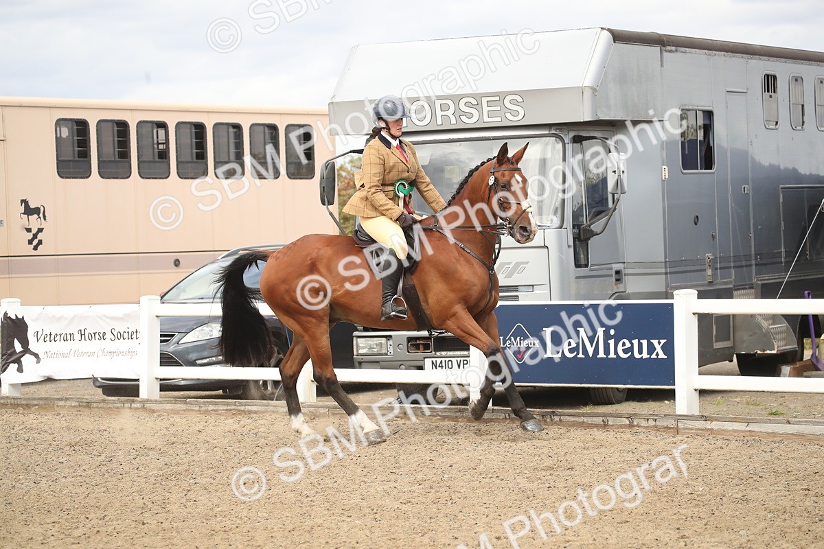 SBM_16585 - Class 506b - Working Veteran - 50cm (20+)