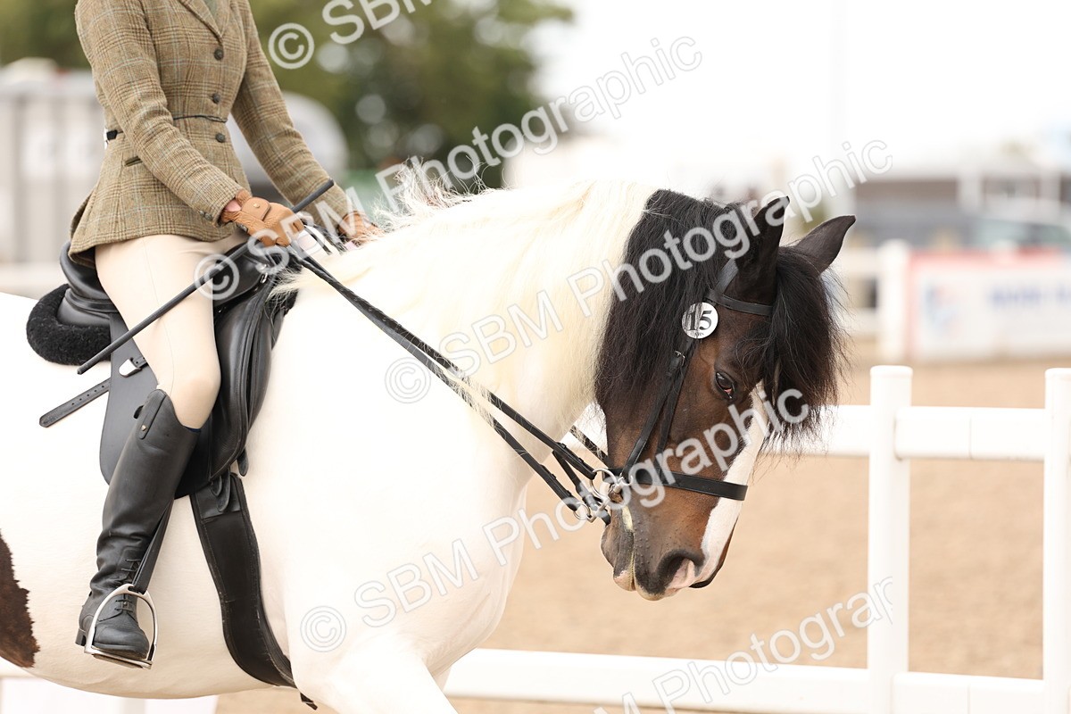 SBM_19631 - Class 216 - Ridden Traditional - Native Cob