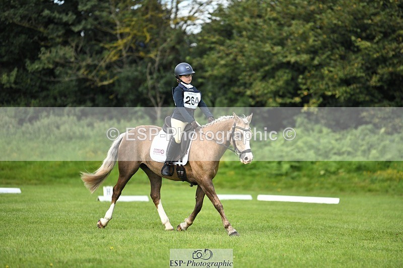 230826-102632-15481 - Sections C & D 10 to End