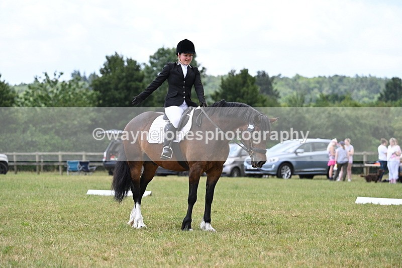 WJ7_5754 - Time 11:52 to 12:10