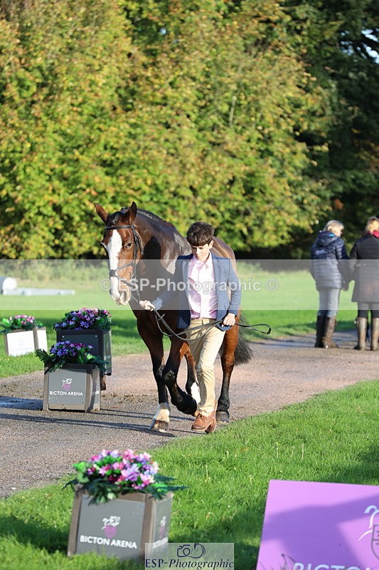 251026A-094931-22507 - D-351-Thomas.Harris