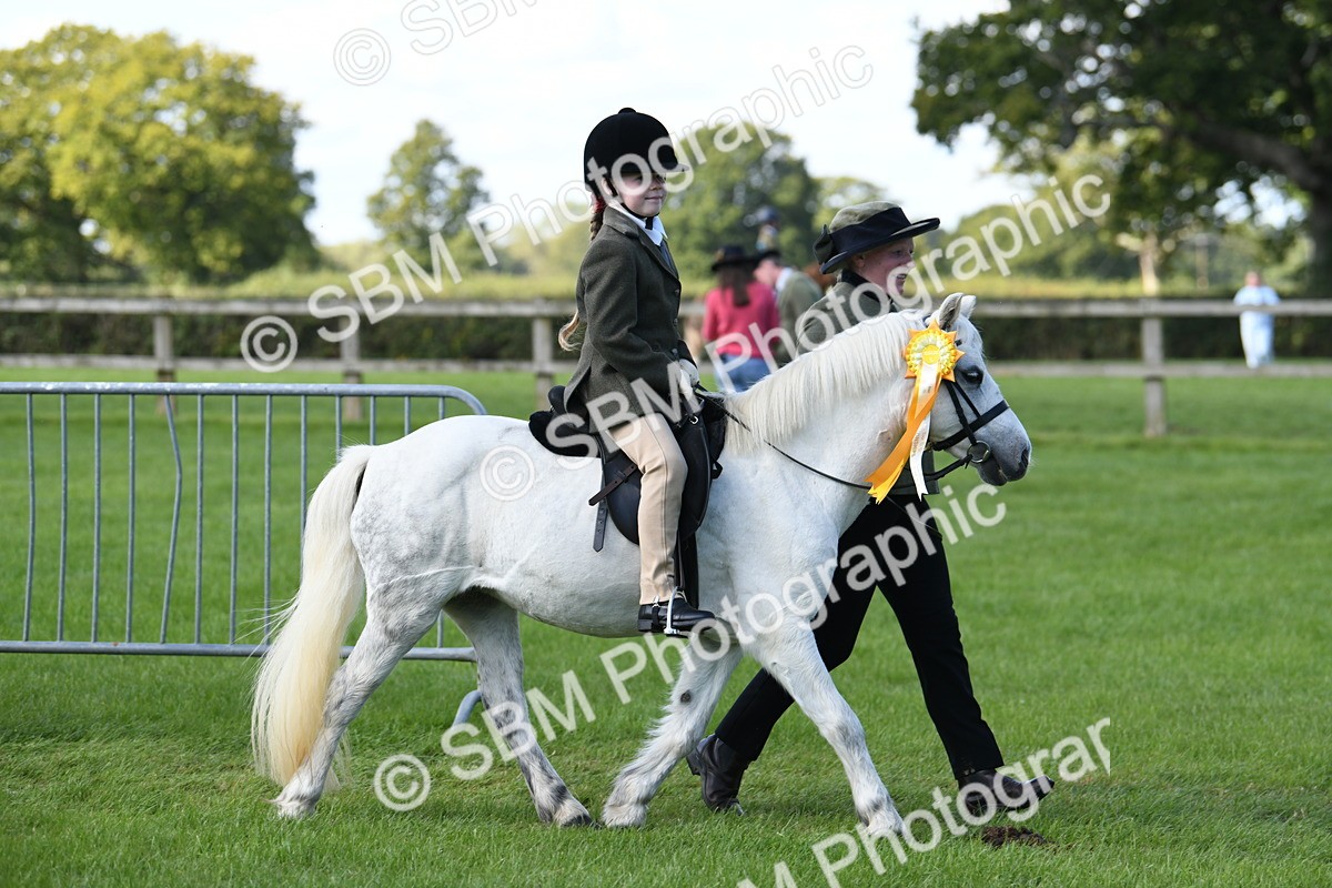 SBM_39721 - S18 - Novice & Newcomers Lead Rein Pony
