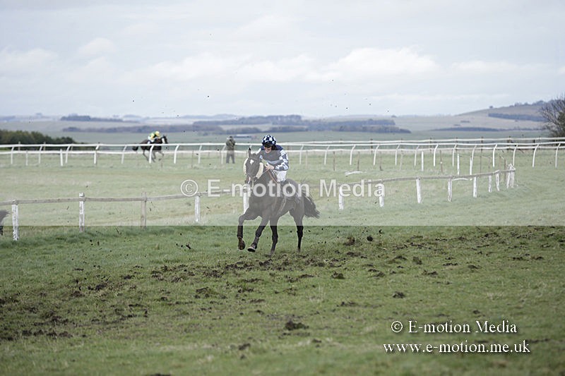 PtP 150320 0696 - New Forest Point-to-Point Larkhill 15/03/20