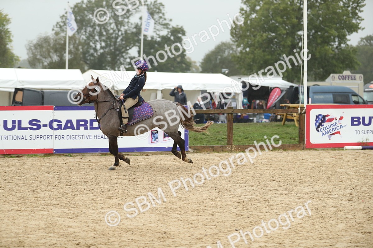 SBM_74149 - J16 - Junior Pony 75cm Championship