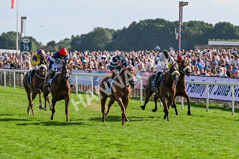 220826-Race 6-Sale Shark-1537 - Race 6 16.45pm Julia Graves Roses Stakes