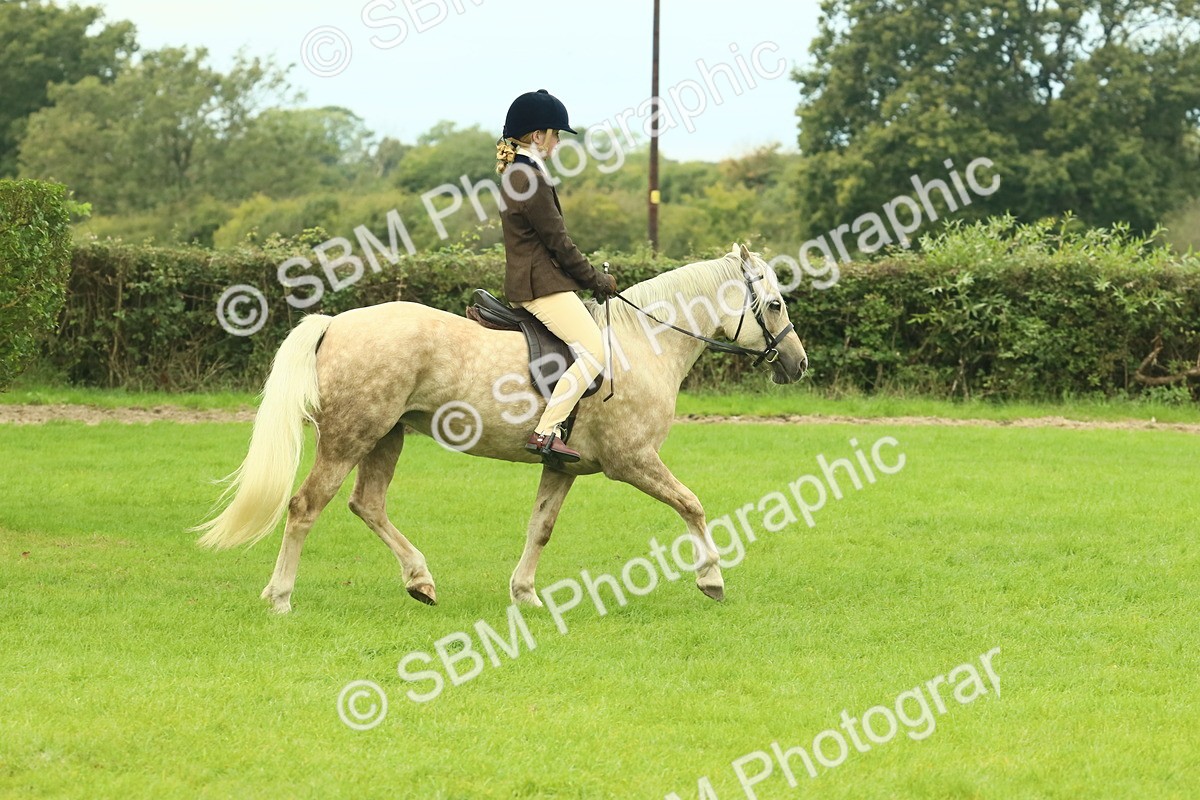 SBM_71830 - S60 - Mountain & Moorland Ridden Large Breeds