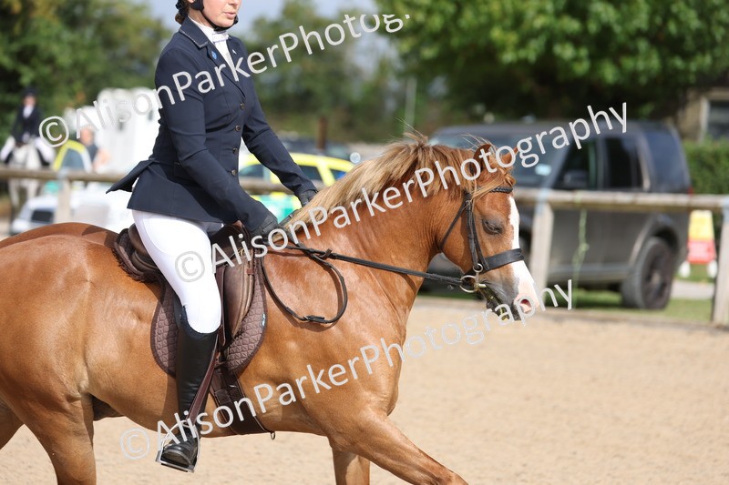 20250803-0377 - Class 1 - 60cm