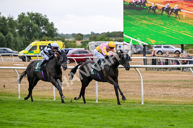 170826-Race 6-Black Storm-9945 - Race 6 16.45pm Racing Again 26th August Handicap