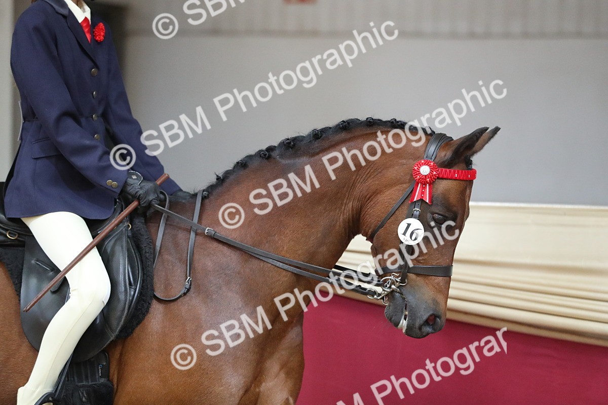 SBM_02839 - Class 6a Area Ridden Pre Vet