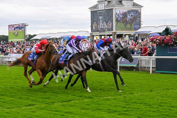 210824-Race 3-Los Angeles-4896 - Race 3 3.00pm Sky Bet Great Voltigeur Stakes