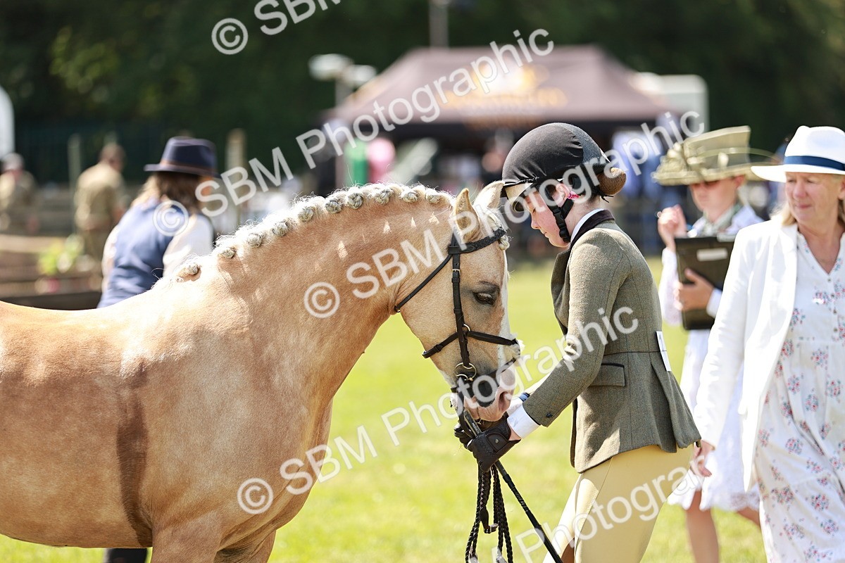SBM_15701 - Class 108-109 - BSPS LIHS Open Gradle & Nursery Stakes