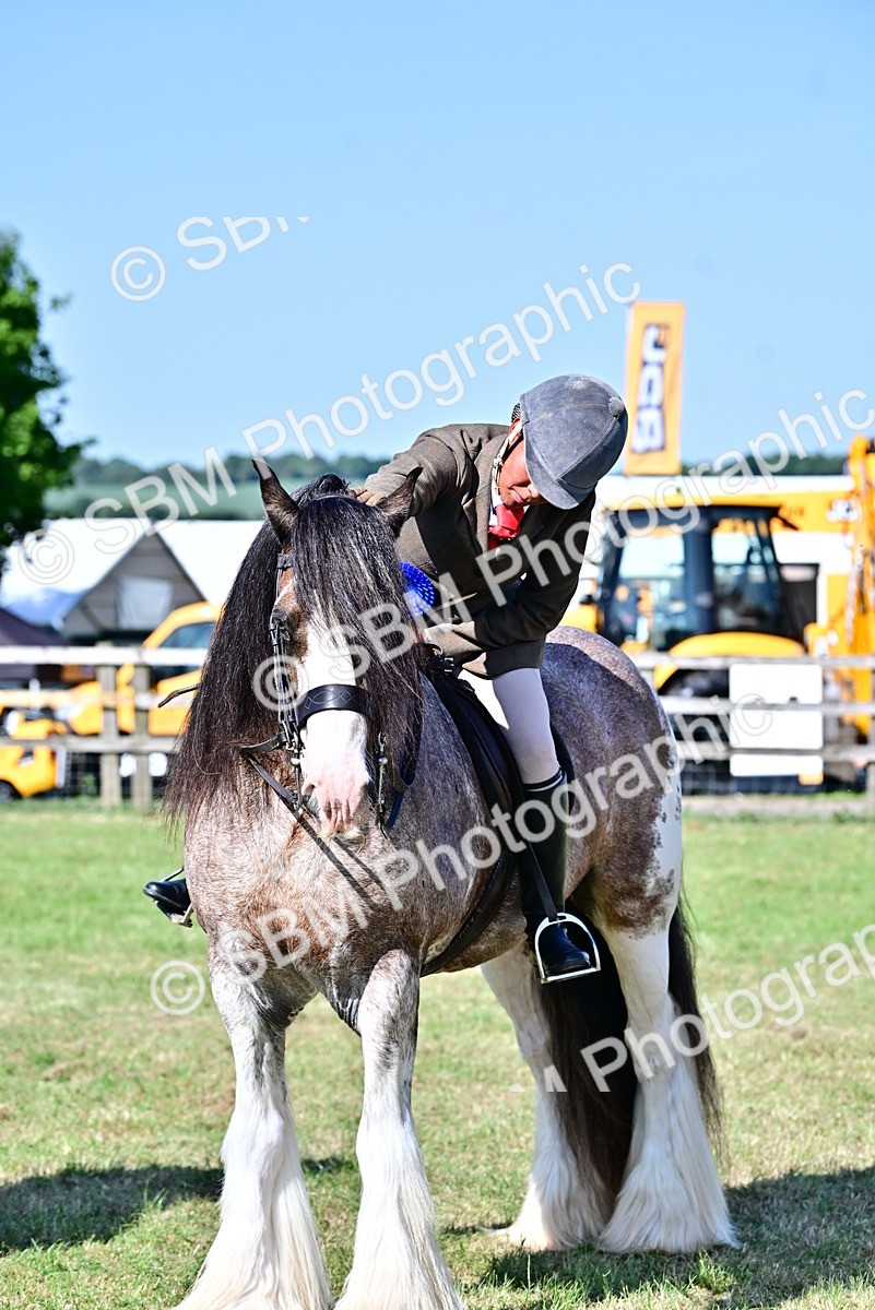 SBM_19465 - Class 101-102 - BSPS LIHS Performance Coloured Horse/Pony