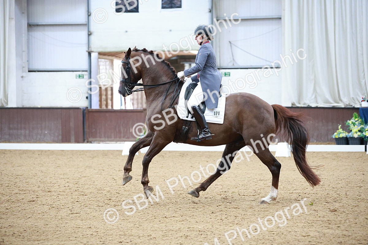 SBM_008790 - Class 14 - FEI PSG - 9.30-10.30