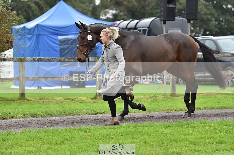 231018-122136-00234 - 030-MONBEG.SHELBY-Kat.Raybould-TrotUp