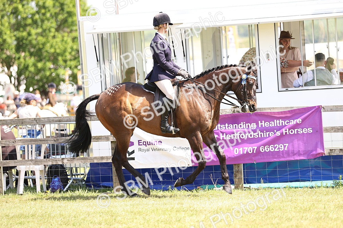 SBM_14845 - Class 78 - LIHS BSHA Open Racehorse & Show Horse