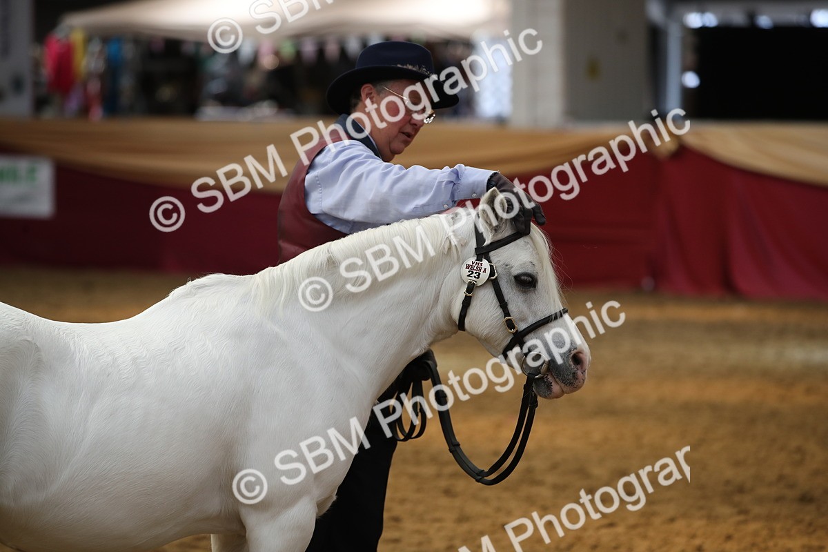 SBM_05441 - Class 8R - Regional IH Veteran