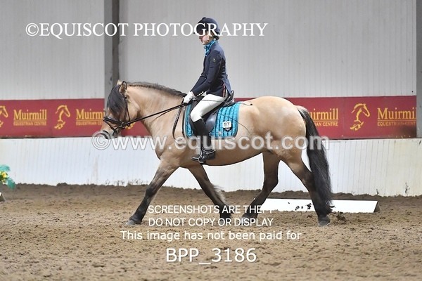 BPP_3186 - INTRO TEST 3