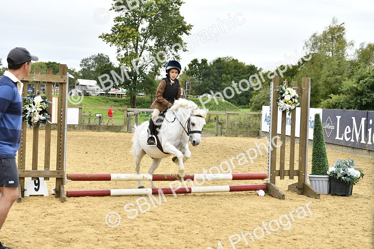 SBM_66180 - J2a mini Tour Junior Pony 30cm Championship