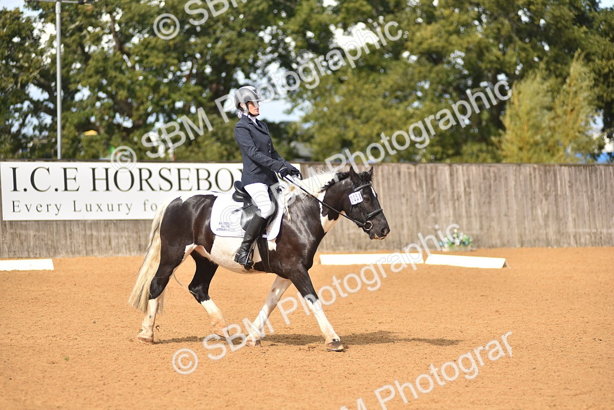SBM_19926 - D4 - Small Tour Championship Intro 4