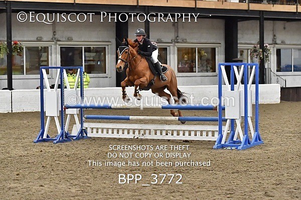 BPP_3772 - FRI CLASS 21 BR NOVICE/90CM