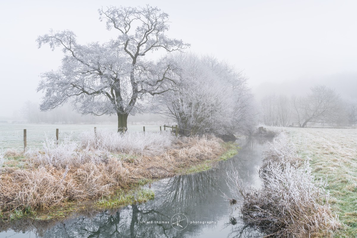 The River Wey on a cold winter morning in January with trees covered in hoar frost