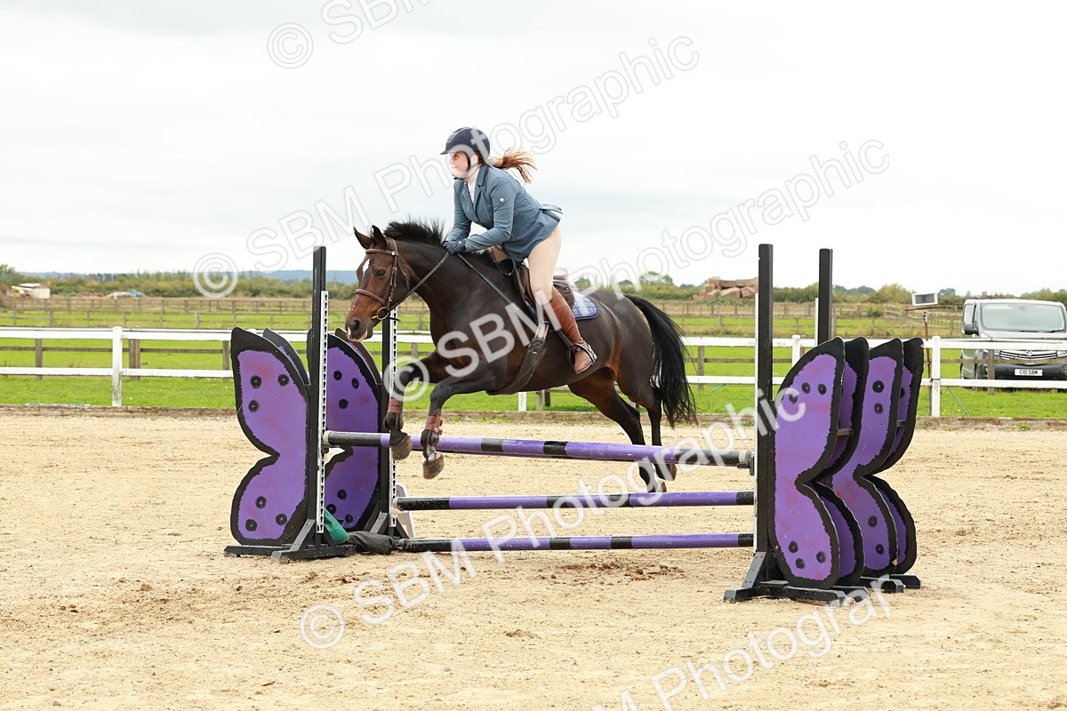 1I0A7072 - Class 2 - Senior British Novice