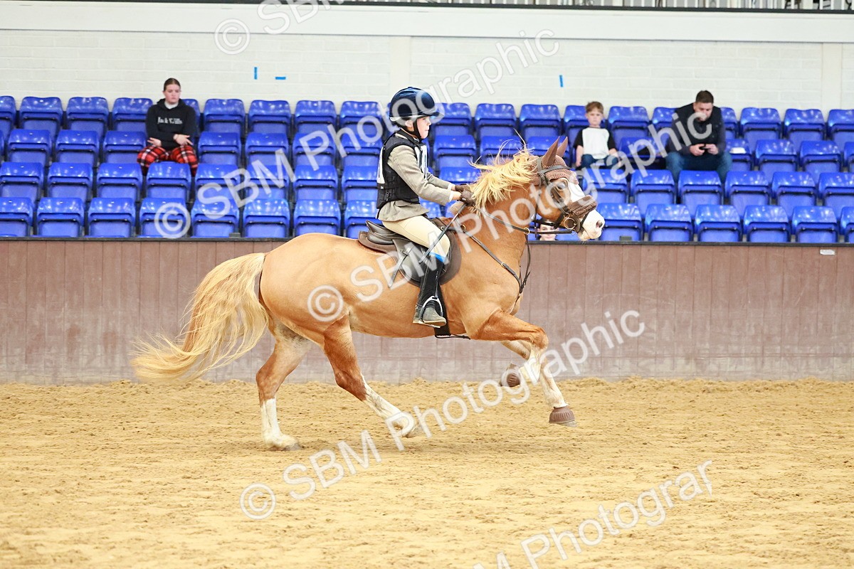 SBM_006208 - Class 4 - 70cm