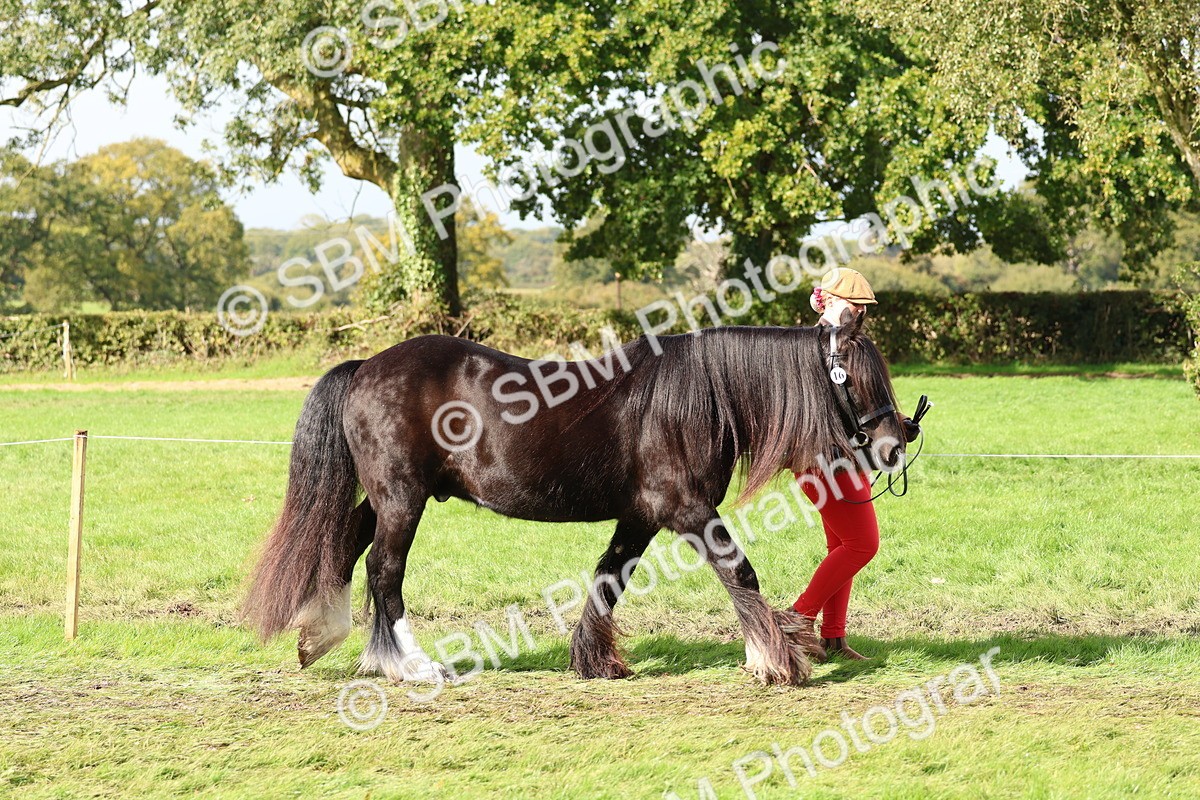 SBM_39400 - S24 - Young Veteran In Hand