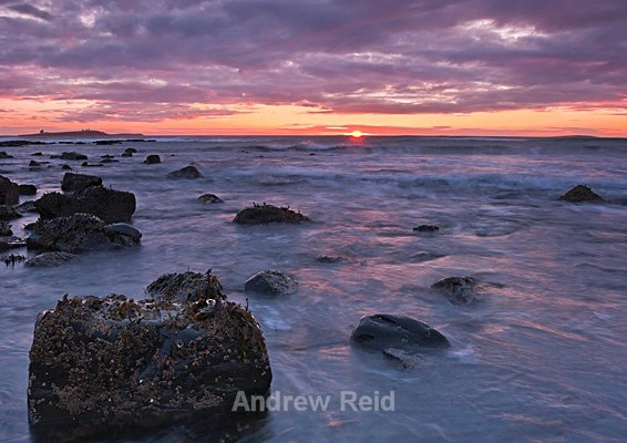  - Landscapes