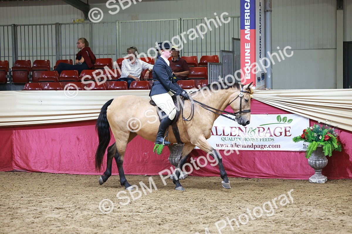 SBM_18695 - Class 952 - M&M Ridden Supreme Final