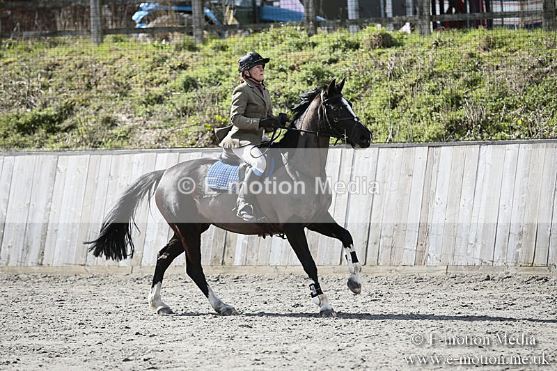 BVRC SJ 170319 399 - Bourne Valley Riding Club Showjumping 17/03/19