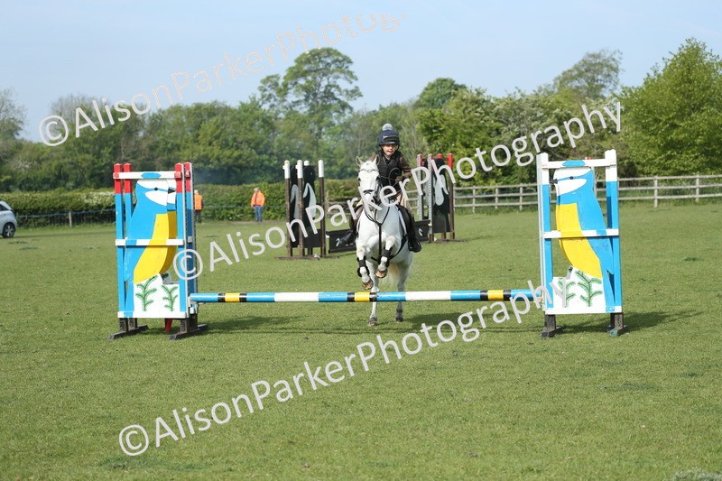 20260426-0211 - Class 13 - Rookie Jumping 50cm