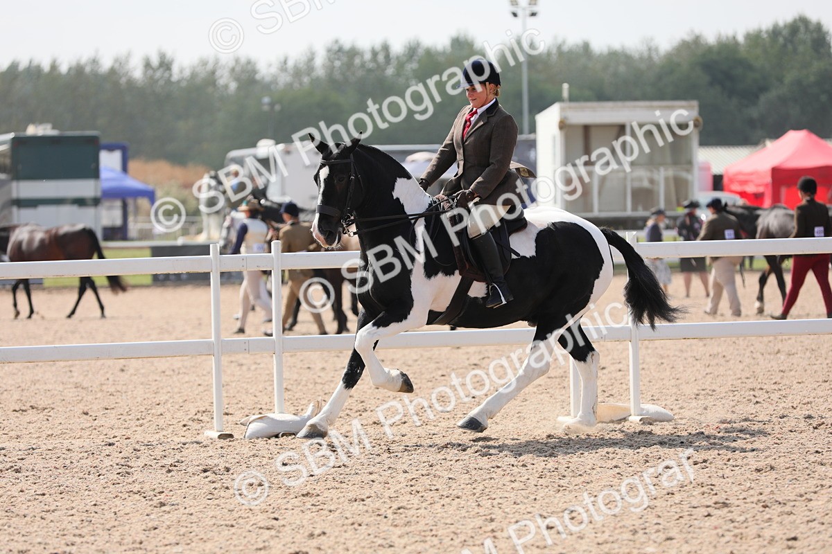 SBM_13494 - Class 308 Ridden Coloured Horse