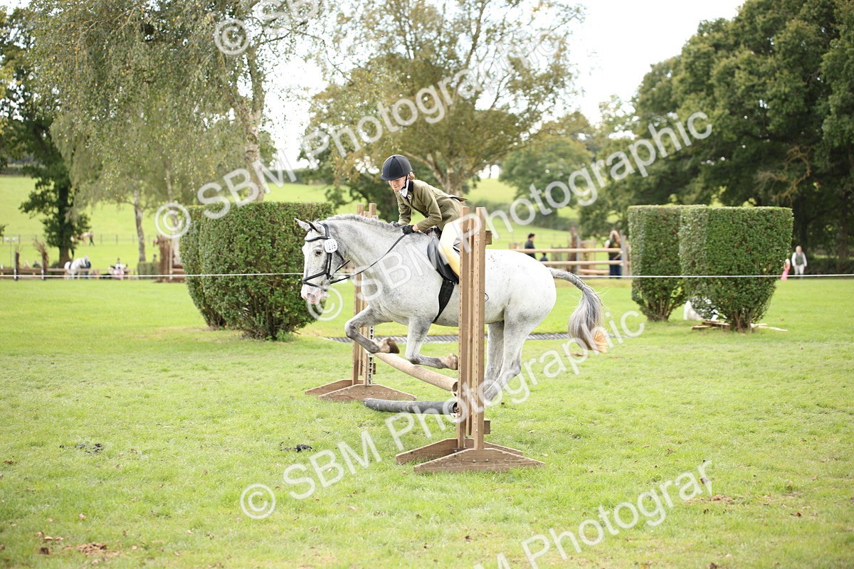 SBM_42297 - S13 - Pony Club Pony