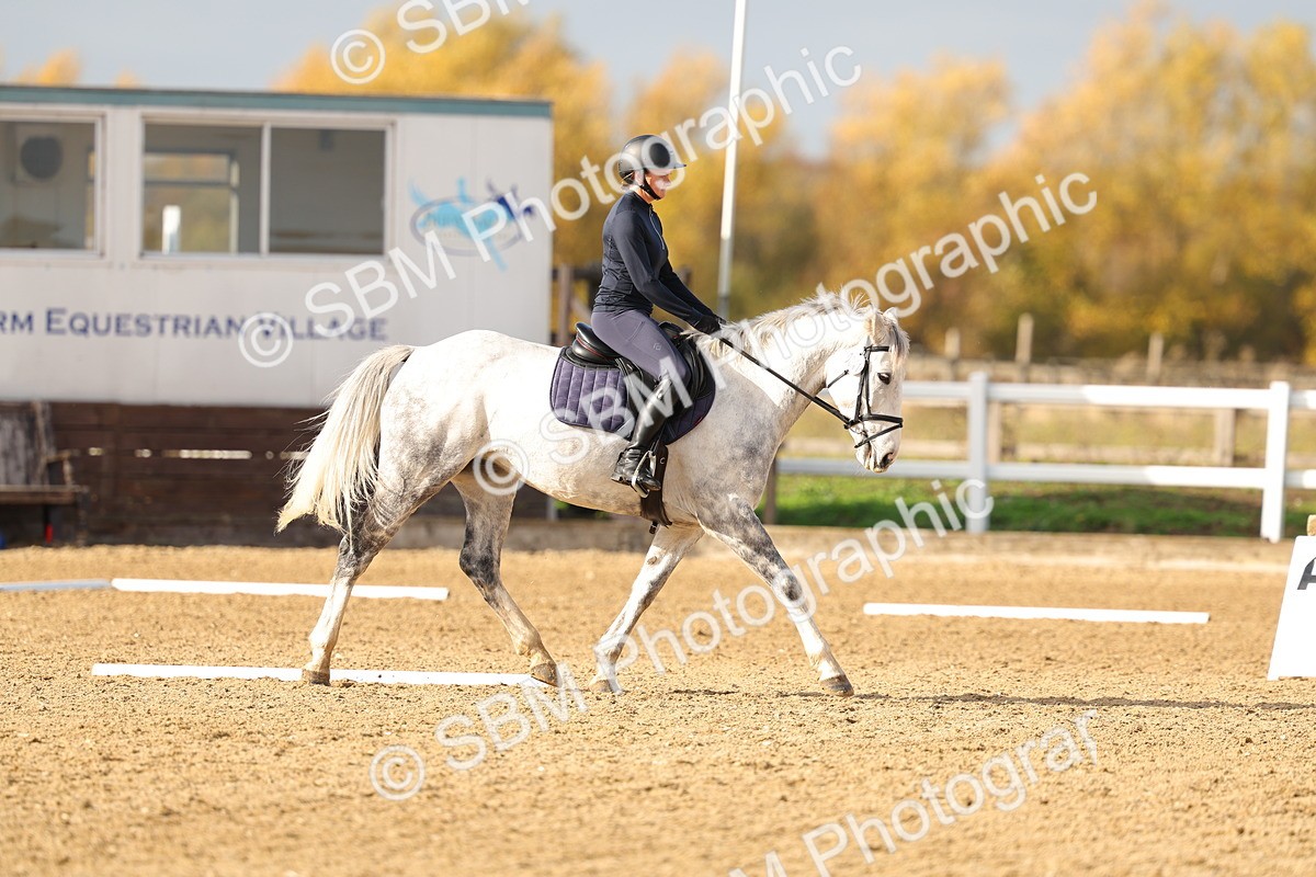 SBM_001268 - Class 13-4-9 - DR P3 CT P3 70cm CT PYO