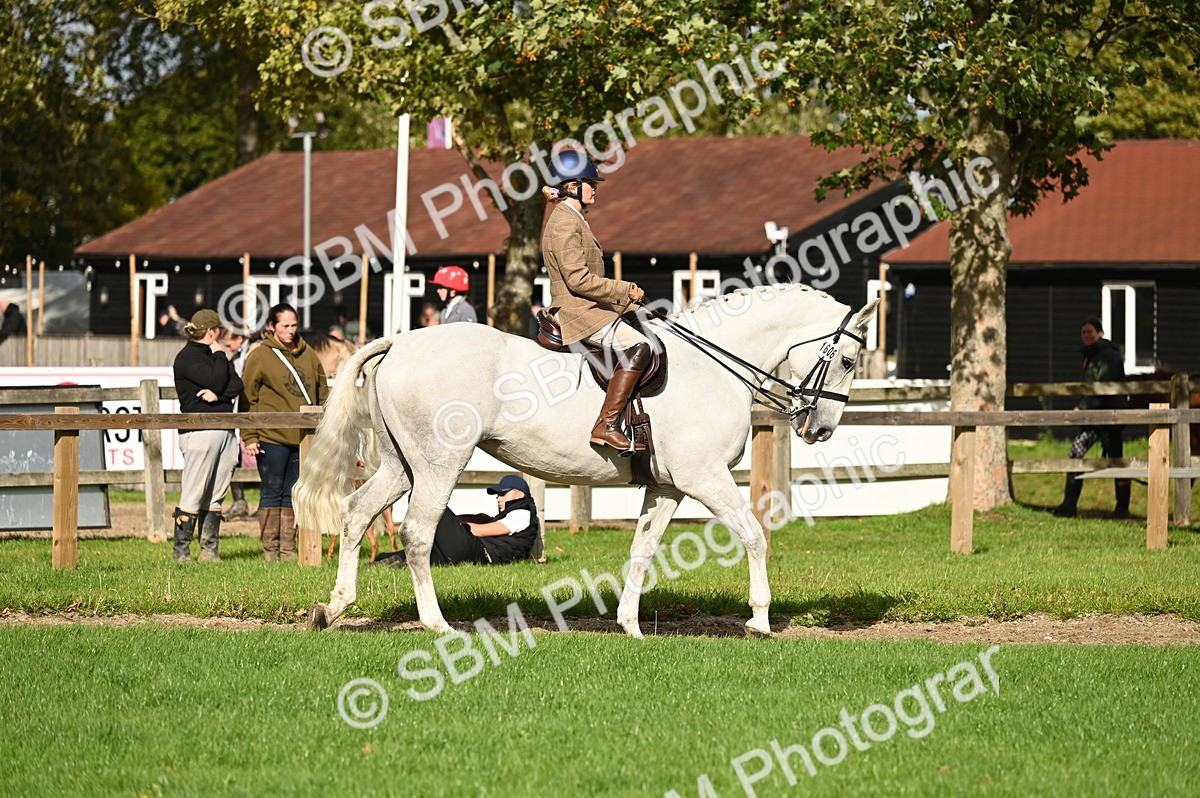 SBM_26298 - S6 - Novice & newcomer Ridden horse