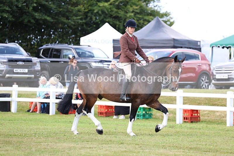 3E7A9656 - Class 5: Rising Star Lightweight/Heavyweight Cobs