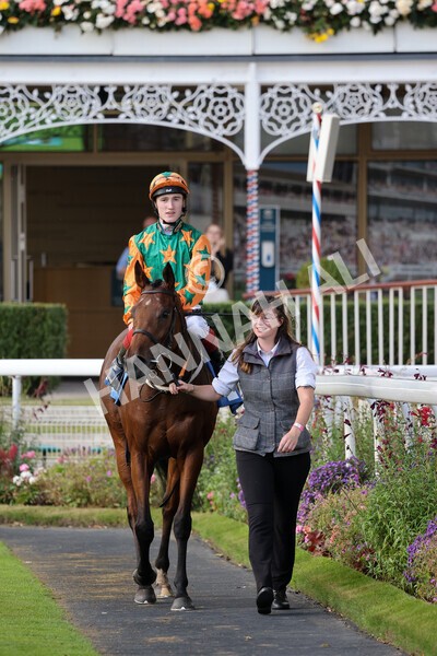yr24092021r7-17 - Race 7 4.55pm William Hill Free or Four Fillies' Stakes