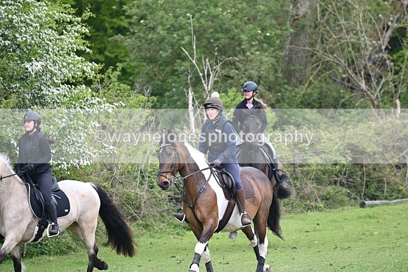 WJ6_2824 - A Camera
