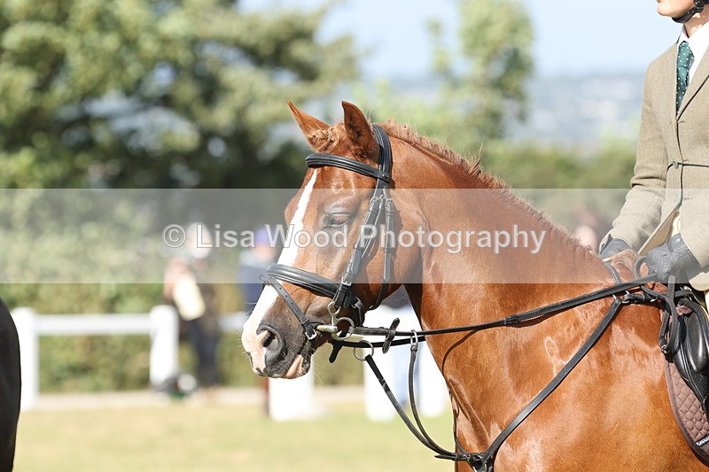 JPP_2994 - Class 20: Working Hunter 70cm