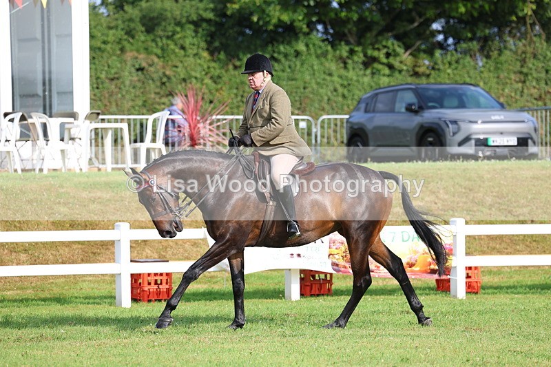 3E7A8189 - Class 2: Rising Star Large Hack/Riding Horse