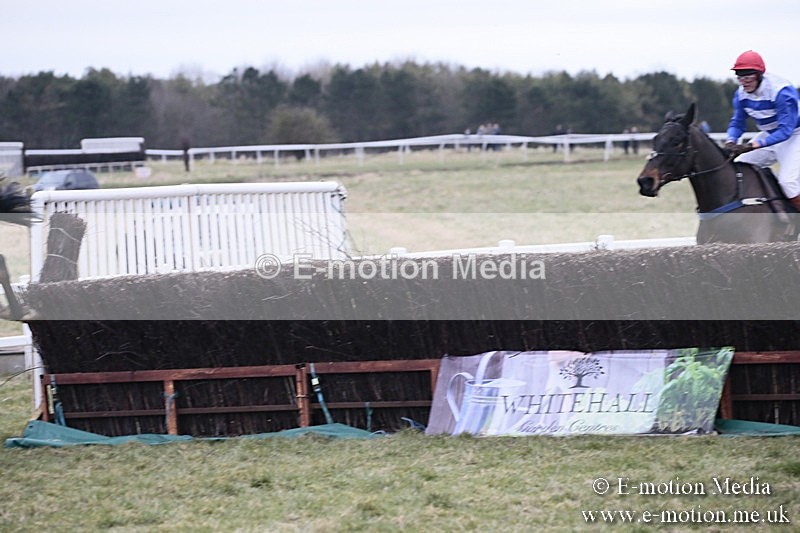PtP 180218 236 - Combined Services Point-to-Point Larkhill 18/02/18
