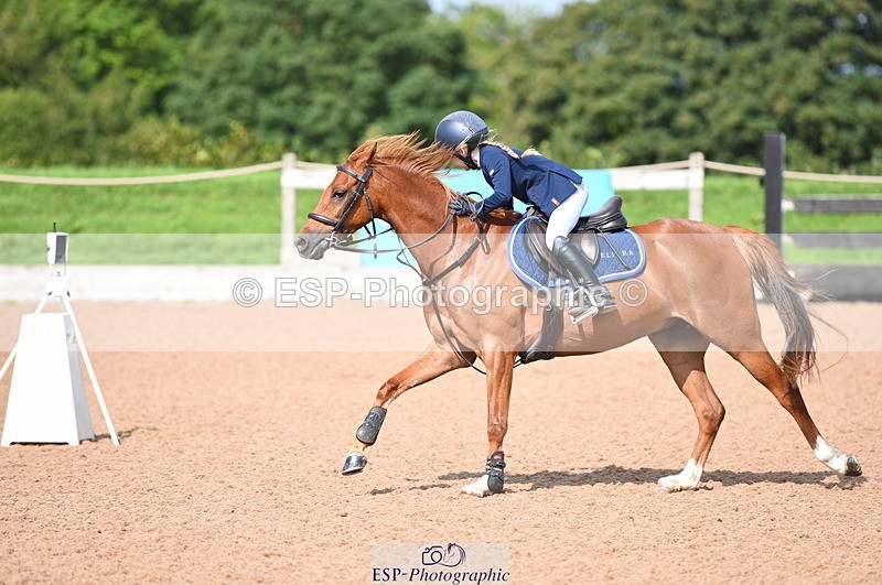 230716A-100614-01965 - Cls 35 Springboard 128cm & 138cm