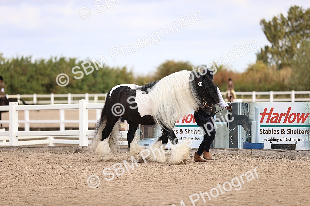 SBM_09279 - Class 404 - IH Traditional - Native Cob