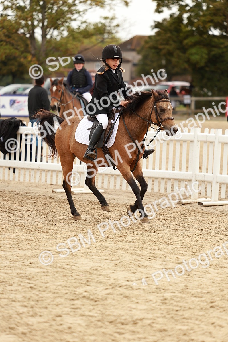 SBM_57832 - J11 - Junior Pony 50cm Championship